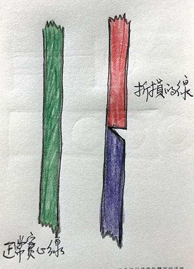 圖檔